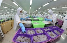 Banco Mundial pronostica crecimiento económico de Vietnam del 5,5 por ciento en 2022