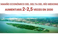 Tamaño económico del Delta del río Mekong aumentará 2-2,5 veces en 2030