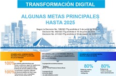 Algunas metas principales de transformación digital hasta 2025
