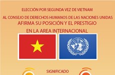 Elección al CDH afirma esfuerzos de Vietnam en promoción de derechos humanos