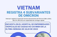 Vietnam registra cuatro subvariantes de Ómicron