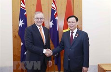 Vietnam y Australia hacia asociación estratégica integral
