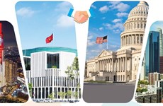 Relaciones de Asociación Integral Vietnam - Estados Unidos 