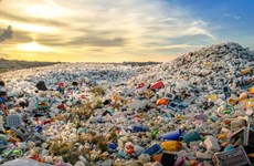 Hacia acuerdo global contra la contaminación por plásticos