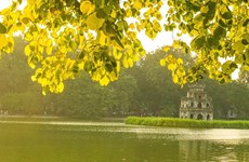 Destinos sugerentes para escapadas románticas en Vietnam en pleno Otoño