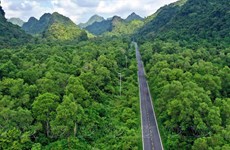 Parque Nacional Cat Ba: “pulmón verde” en medio del mar