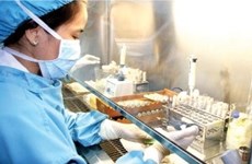 Japón ayudará a Vietnam en lucha contra bacterias resistentes 