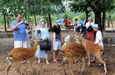 Aumenta número de visitantes a Vietnam 