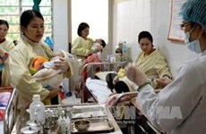 Sector de salud de Vietnam empeñado en prevenir epidemias 