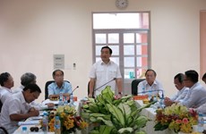Vicepremier inspecciona protección ambiental en Binh Duong 