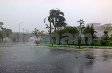 Convierte tifón Rammasun en depresión tropical