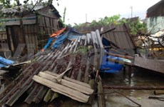 Pérdidas materiales en Vietnam por tifón Kalmeagi 