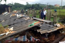 Trece muertos en Vietnam por tifón Kalmaegi 