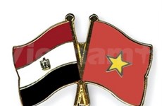 Vietnam y Egipto realizan octava consulta política 