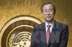 Vietnam aportará más activamente al mantenimiento de paz de ONU 