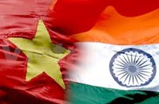 Vietnam y la India realizan consulta política a nivel de vicecanciller 