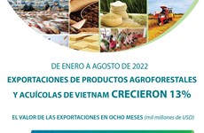 Exportaciones de productos agroforestales y acuícolas de Vietnam crecieron 13 por ciento