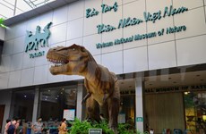 Historia y cultura de Hanoi destaca en sus museos