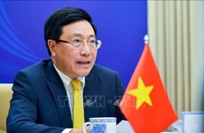Vietnam trabajará con otros países de ASEAN para repeler la pandemia