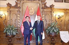 Vietnam, socio importante de Hungría en el Sudeste Asiático