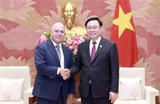 Dirigente vietnamita sugiere fortalecer cooperación en transición energética con Australia 
