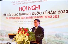Vietnam promueve cooperación y comercio internacional de café