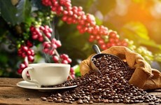 Vietnam es el mayor proveedor de café de España 