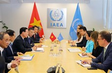 Vietnam participará activamente en proyectos de OIEA, afirma presidente