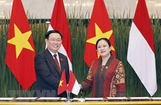 Destacan nexos de hermandad Vietnam-Indonesia en la ASEAN