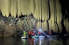 Descubren otra cueva prístina en bosque Truong Son de Vietnam