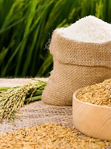 Oportunidades para alcanzar meta de exportaciones de arroz de Vietnam en 2023