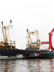 Prevén nueva ola de inversión extranjera en el delta del Mekong