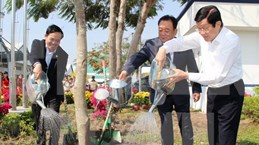 Presidente vietnamita llama a impulsar la plantación de árboles