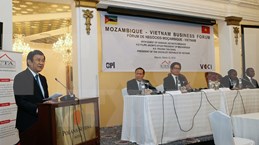 Presidente vietnamita asiste a Foro Empresarial en Mozambique