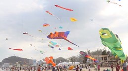 Festival internacional de papalote abierto en Vietnam