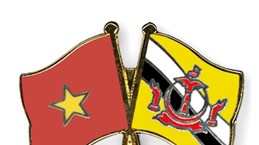 Vietnam y Brunei amplían nexos en defensa