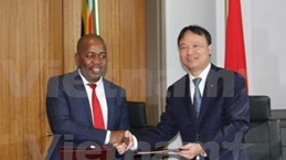 Vietnam y Sudáfrica apuntan elevar trasiego mercantil a tres mil millones de USD