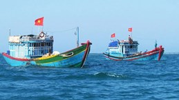 Provincia vietnamita intensifica combate contra la pesca ilegal 