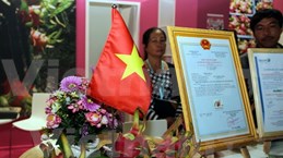 Pitahaya vietnamita presente en el Feria internacional de Berlín