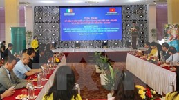 Irlanda y provincia vietnamita de Quang Tri robustecen lazos de cooperación