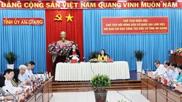 Revisan preparativos de provincia vietnamita de An Giang para elecciones parlamentarias
