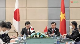 Efectúan reunión bilateral de viceministros de Defensa de Vietnam y Japón 