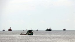 Provincia de Ca Mau equipa barcos pesqueros con dispositivo de monitoreo