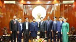 Ciudad vietnamita de Can Tho desea estrechar lazos con socios mozambiqueños
