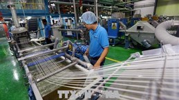 Provincia vietnamita de Dong Nai recibe inversiones extranjeras de nueva generación