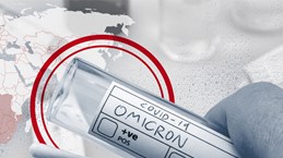Recomiendan en Vietnam medidas contra subvariante EG.5 Omicron