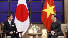 Destacan aportes de Asociación de Amistad Kyushu-Vietnam a nexos bilaterales