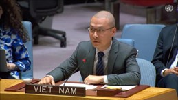 Vietnam pide máxima moderación y fin de las hostilidades en Medio Oriente