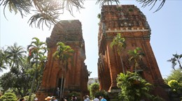 Torres Gemelas: obra arquitectónica representativa de cultura Champa en Quy Nhon