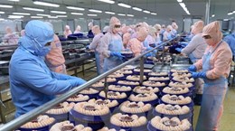 Vietnam exporta camarones a 100 países y territorios 